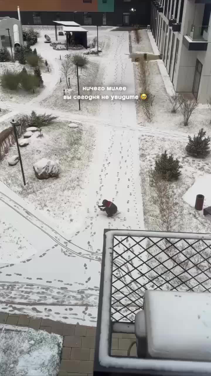 Коммунальщик в Москве проводит фотосессию для снеговика, созданного девочкой с мамой