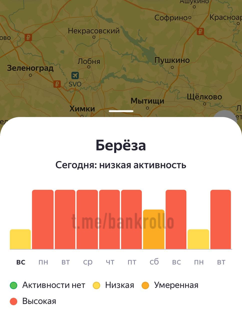 Завтра на Москву обрушится пыльцевая буря, предупредили эксперты. Тяжёлое время для аллергиков будет длиться почти всю неделю.