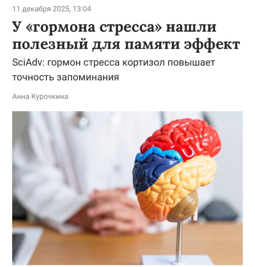 Стресс оказался полезным для памяти исследование Учёные доказали что кортизол перестраивает работу мозга и помогает запоминать быстрее Гормон активирует области отвечающие за эмоции и запускает переквалификацию сетей памяти из за чего воспоминания становятся ярче и точнее В итоге лёгкий стресс дарит суперсилу в виде лучшей обучаемости Не стрессуем а качаем нейронные связи из за дедлайнов