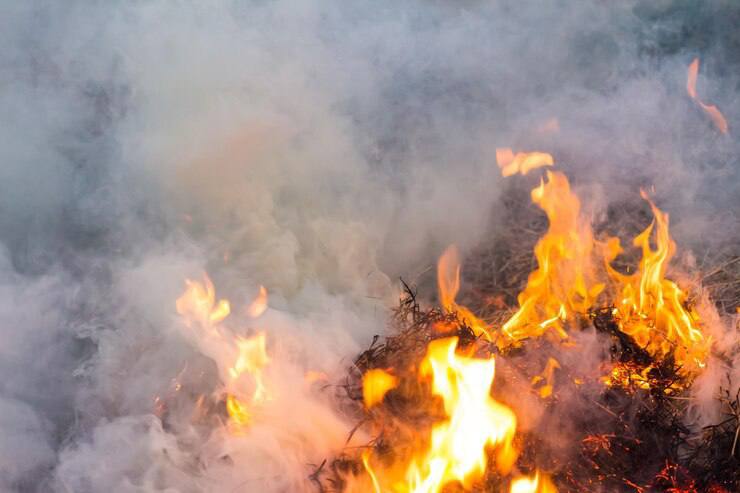 2 пожара произошло в Курской области за сутки — погибших нет Пиротехники обезвредили 114 взрывоопасных предметов. Пожарно-спасательные подразделения МЧС России среагировали на 5 ДТП. Вести-Курск. Только проверенная информация Прислать новость