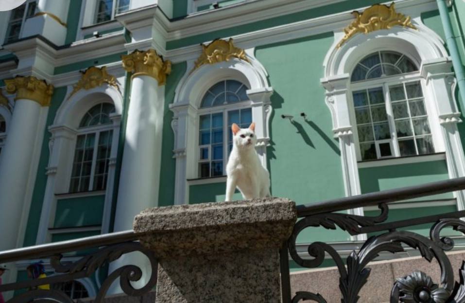 Французский меценат оставил наследство котам Эрмитажа Наследство французского мецената, которое он оставил эрмитажным котам, могут потратить на ремонт. Как рассказал директор Государственного Эрмитажа Михаил Пиотровский, окончательное решение о том, как распорядиться деньгами, еще не принято. Сейчас музей ведет переписку с юристами. О наследстве стало известно еще летом, а сейчас оформление находится в завершающей стадии. - Коты и те, кто о них заботиться, сами решат, как расходовать эти деньги, - заявил Пиотровский. Директор Эрмитажа отметил, что появление котов, среди всего прочего - воспитательная история. Хотя известно, что завела их в Зимнем дворце Екатерина II, но количество хвостатых существенно увеличилось в трудные 1990-е годы: "Люди стали выбрасывать животных на улицу, а мы подбирали". - Наш французский друг сделал замечательный пиар и котам, и благотворительности. Хотя они у нас и так не обделены, деньги дают и организации, и граждане, - сообщил Пиотровский.