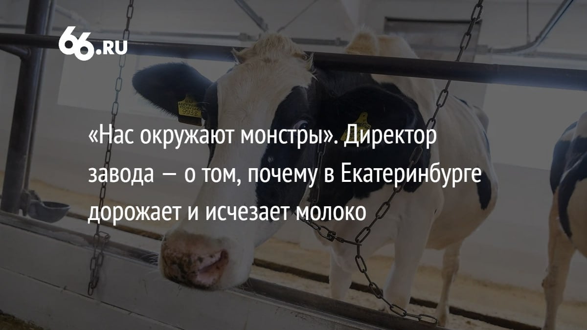 С начала года цены на молоко в Свердловской области выросли на 22%, на сливочное масло — на 40%. Производители молочной продукции столкнулись с дефицитом сырья, а покупатели — с полупустыми полками в магазинах. И это при том, что в регионе ежедневно производят тонны молока.  Почему в Екатеринбурге дорожает и исчезает молоко, корреспонденту  .RU рассказал владелец компании «Талицкое молоко» Юрий Окунев