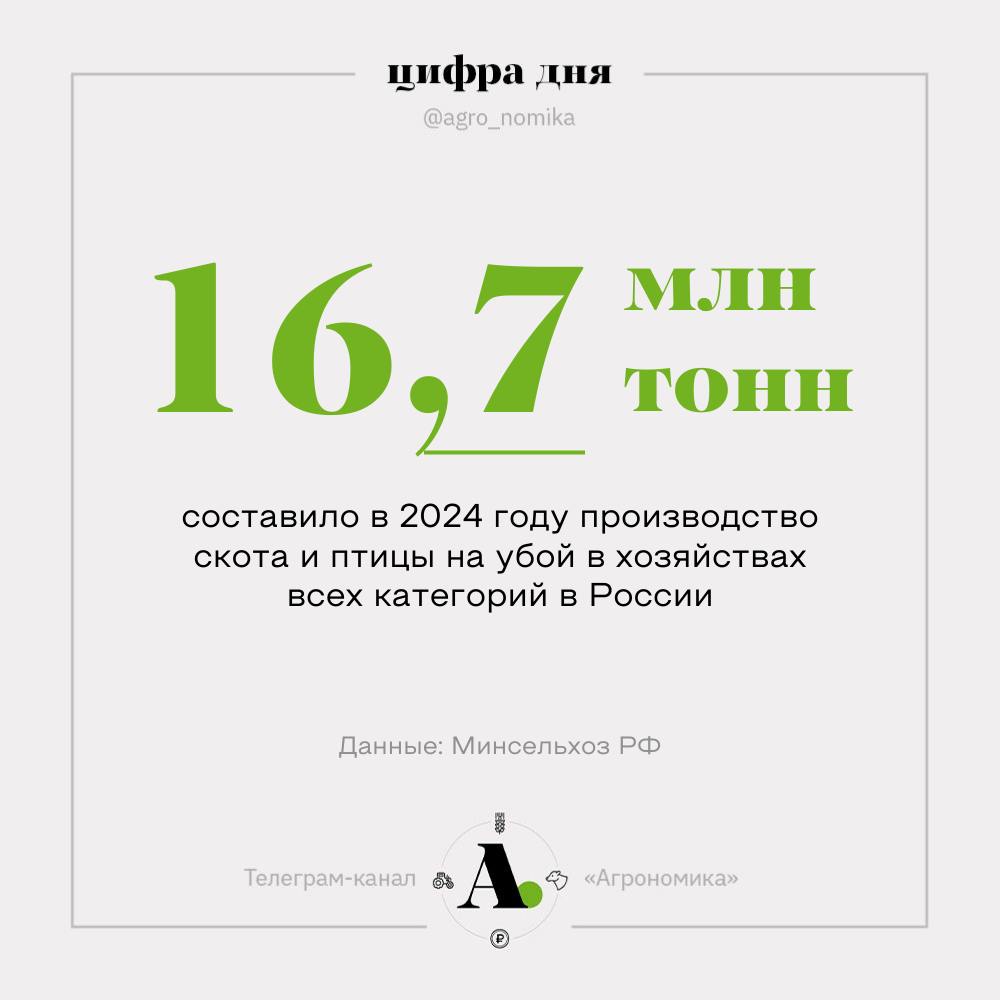 Факт дня: производство скота и птицы в России в 2024 году достигло максимального значения в истории России и Советского Союза. По предварительным данным, в 2024 году в хозяйствах всех категорий было произведено 16,74 млн тонн скота и птицы, из которых 6,2 млн тонн — свиньи и 7,1 млн тонн — птица. В прошлом году показатель составил 16 млн тонн.   На фоне роста производства мяса выросла и переработка. В январе-ноябре 2024 года производство колбасных изделий увеличилось на 1,9%, до 2,3 млн тонн, мясных полуфабрикатов – на 5%, до 4,5 млн тонн, мясных консервов – на 1,2%, до 833 тыс. тонн.  Производство куриных яиц в январе-ноябре сохранилось на уровне прошлого года — 34,7 млрд штук. При этом, по состоянию на 15 января 2025 года, цены на яйца снизились к уровню прошлого года на 7,2% за первую категорию и на 11,5% за вторую.