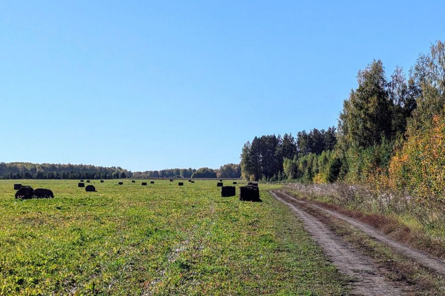 В Свердловской области в оборот введут более 5,6 тыс. гектаров сельхозземель благодаря субсидиям, выделенным губернатором Евгением Куйвашевым для Усть-Ницинского сельского поселения, Красноуфимского района и Краснотурьинского городского округа. Соответствующее постановление было принято на заседании правительства региона  Для получения субсидий на ввод новых земель в оборот местные органы власти через областное министерство агропромышленного комплекса и потребительского рынка подают заявки в Минсельхоз России, где они рассматриваются на конкурсной основе.  Регулярные заявки на межевание и кадастровые работы для расширения сельхозугодий подают администрации Туринского, Талицкого, Тавдинского городских округов, а также Слободо-Туринского и Сладковского сельских поселений.  После межевания и постановки на кадастровый учет неиспользуемые земли передадут сельхозпроизводителям, которые смогут использовать их под нужды хозяйства — например, для посева кормовых трав, зерновых и зернобобовых культур.    департамент информационной политики Свердловской области   Подписаться на «ОГ» Прислать новость Поддержать канал