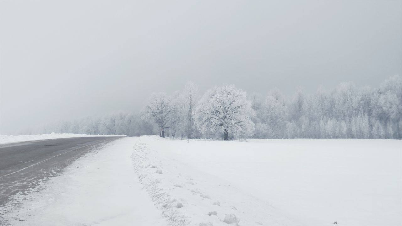 Внимание! Снег! В Самарской области объявлен желтый уровень опасности   В четверг днём местами по региону ожидается сильный мокрый снег, 6 мм и более.  МЧС России советует быть внимательными и осторожными на дорогах. Водителям следует соблюдать правила дорожного движения, дистанцию и скоростной режим.    ГТРК «Самара»