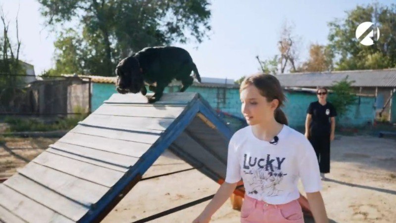 В России появится ГОСТ на площадки для выгула собак Росстандарт утвердил первый национальный стандарт регламентирующий создание и содержание территорий для выгула и дрессировки собак передаёт ТАСС Документ начнет действовать с 1 апреля 2026 года Стандарт устанавливает минимальную площадь игровых площадок 200 м² дрессировочных 1 5 тыс м² высоту ограждений не ниже 2 метров На площадках предусматриваются зоны для уборки отходов с контейнерами и дозаторами для пакетов Кроме того установлены требования к освещению зонированию препятствиям для дрессировки собак По словам руководителя ведомства Антона Шалаева новый ГОСТ обеспечит комфортные условия для проживания горожан вместе с животными сделает пространство безопасным и удобным для всех жителей Астрахань 24 в МАХ