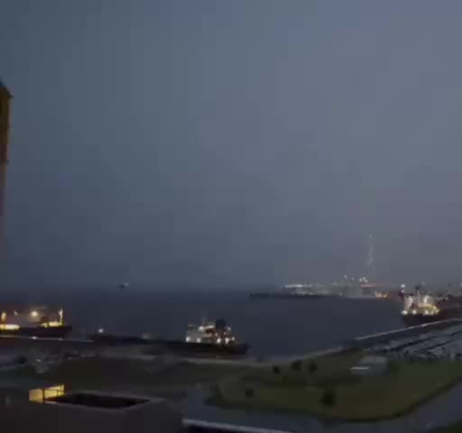 Лось неожиданно испугал рыбака под Шуваловским мостом