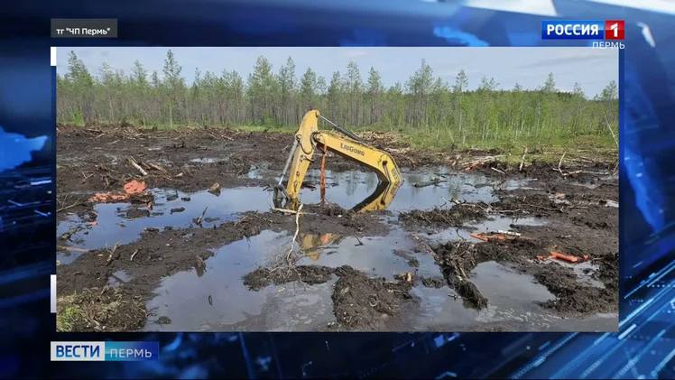 На строительстве газопровода утонул экскаватор На строительстве газопровода в направлении Чердыни утонул экскаватор. Он оказался в воде и грязи. На поверхности осталась только стрела. Информации о том, пострадал ли механизатор, пока нет. Так же, как и о том, каким образом теперь будут доставать транспорт из трясины.