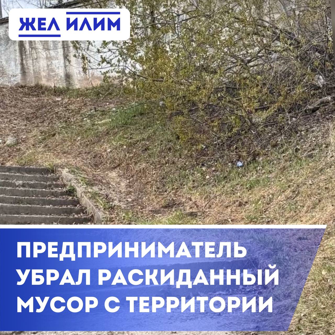 Предприниматель убрал раскиданный мусор у лестницы возле «Шанса». ℹ Как нам сообщил один из предпринимателей, часть мусора была его, но как он там оказался - загадка. Свой мусор ИПшник выносит к бакам, так как заключен такой договор с оператором по сбору ТКО. «Скорее всего, кто-то растащил с мусорки. Точно не собаки, потому что коробка большая», - пишет предприниматель.
