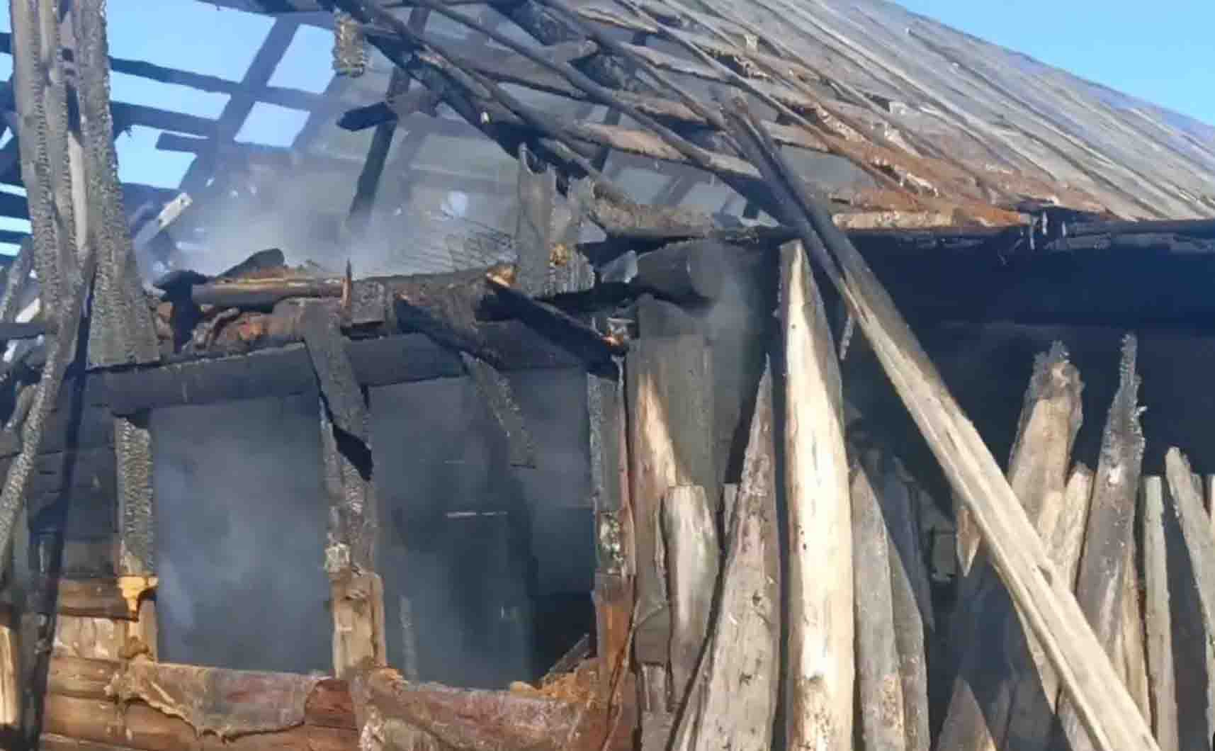 Две Бурёнки спасены из горящего коровника Пожар на частной ферме ликвидировали в Мильковском округе Камчатки Пожар на ферме в селе Лазо Мильковского округа вспыхнул утром 11 февраля загорелся коровник Животных поспешно вывели из горящего помещения Они не пострадали Затем пожарные приступили к тушению Посильную помощь им оказали очевидцы рассказал ИА Камчатское время краевой министр по ЧС Сергей Лебедев Подробности по ссылке   kamtime ru article fea611c9 3d97 4f31 b4f4 89c21c093e92 Предложка Макс