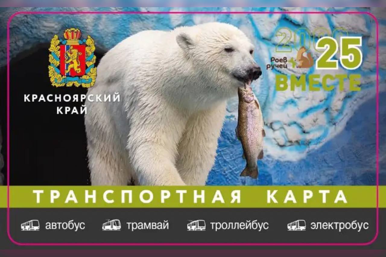 В Красноярске выпустили транспортные карты с животными «Роева ручья» В честь юбилея красноярского «Роева ручья» в нашем городе появились транспортные карты с обитателями парка флоры и фауны. Всего выпустили 2 500 карт. На них изображены медведица Урсула, филин Захар и другие животные. Купить транспортные карты можно в киосках «Розпечать», «Газеты. Журналы». Отметим, что «Роев ручей» отметит 25-летний юбилей уже 16 августа. «Роев ручей»