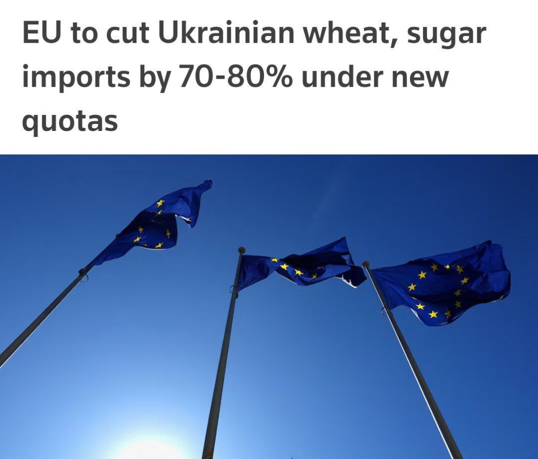 Новые квоты Евросоюза сократят импорт украинской пшеницы и сахара в Европу на 70-80% - Reuters.