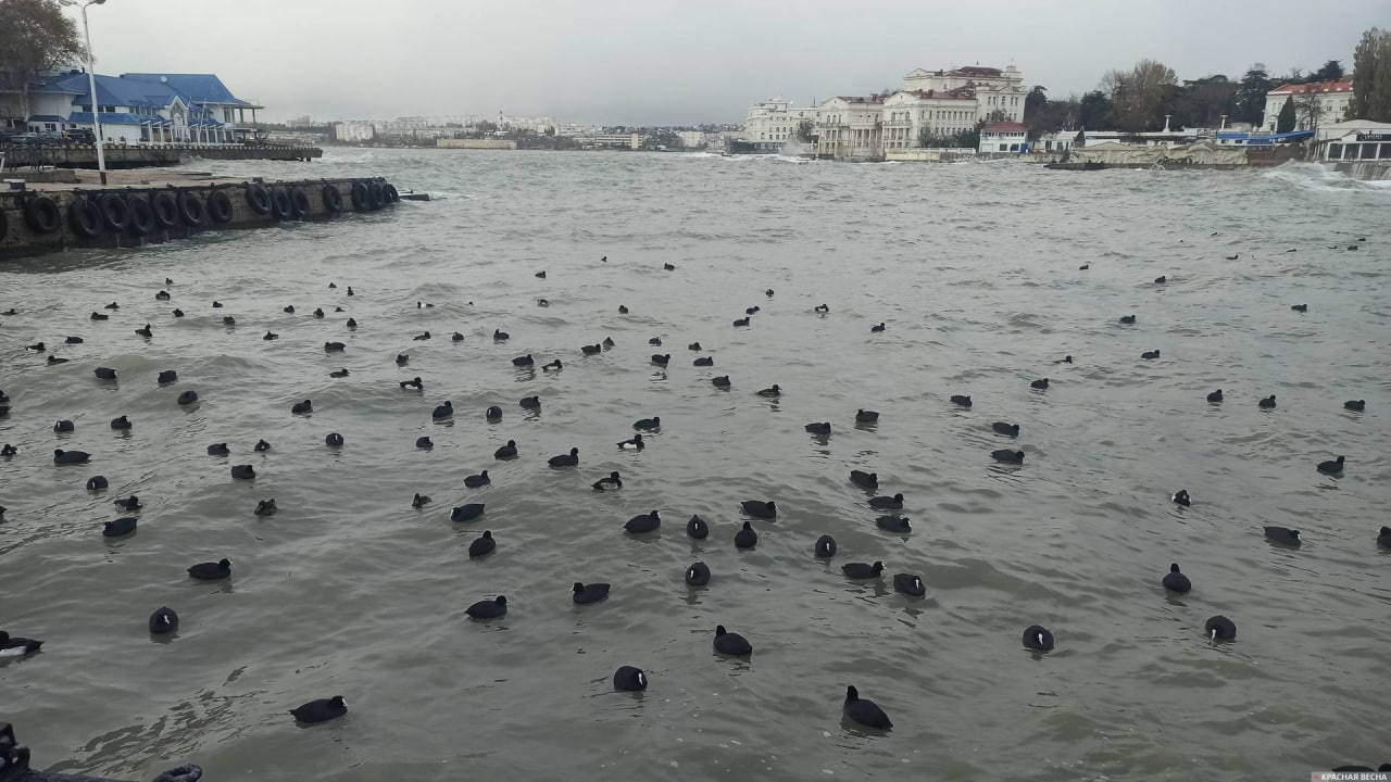 В Анапе и Темрюкском районе пробы воздуха и питьевой воды соответствуют норме, сообщается в Telegram-канале управления Роспотребнадзора по региону