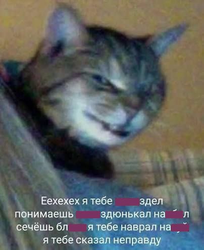 История с массовым отравлением шоколадом Merci оказалась враньём пишет 112 Пациентка по имени Анастасия рассказавшая об этом призналась что никаких ещё двух пациентов не было По её словам аллергическая реакция действительно случилась но была индивидуальной на компоненты шоколада Информацию о других пострадавших придумала её SMMщица чтобы добавить красок истории А что ещё случилось