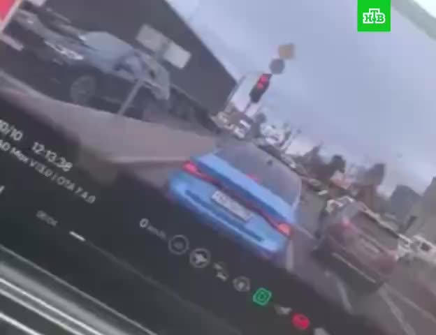 Мужчина в Петербурге спас котенка с проезжей части