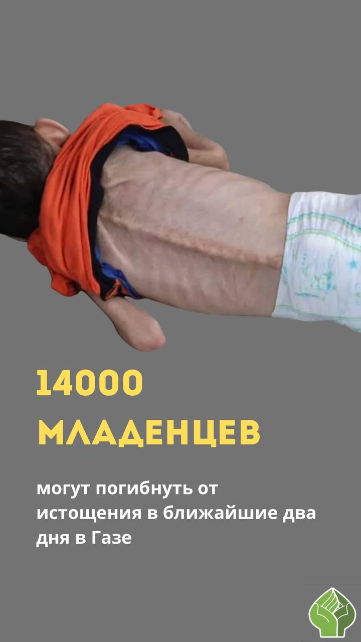 В ближайшие два дня в Газе от истощения могут умереть до 14 000 младенцев. По данным главы гуманитарного отдела ООН Тома Флетчера, в понедельник в анклав въехало всего 5 грузовиков с помощью. Но этого катастрофически мало. 14 000 младенцев умрут в течение следующих 48 часов, если мы не сможем до них добраться... Мы подвергаемся всевозможным рискам, пытаясь доставить детское питание тем матерям, которые не могут сейчас кормить своих детей, потому что они недоедают ‼ Каждый день волонтеры фонда «Солидарность» раздают в Газе детское питание и горячие обеды. Каждый день они спасают жизни. Вы можете присоединиться к нашей акции здесь
