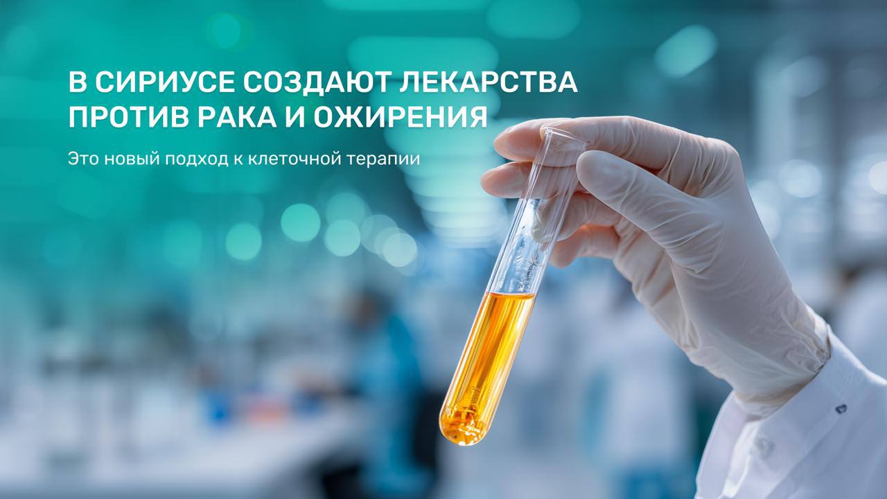 В Научно технологическом университете Сириус создают умные клетки против рака и ожирения Учёные разрабатывают принципиально новый подход к клеточной терапии Вместо дорогого и подходящего не всем пациентам редактирования генома они планируют использовать обратимое эпигенетическое редактирование хотят временно заглушать ненужные гены не трогая сам наследственный код Этот метод безопасный и пригодный для массового применения Для борьбы с опухолями создают универсальные CAR T клетки обученные уничтожать рак Но опухоль часто заглушает иммунные клетки включая в них тормоза Учёные Сириуса хотят временно отключить несколько таких тормозов с помощью эпигенетических модификаторов сделав CAR T клетки невидимыми для иммунной системы пациента При этом процесс будет обратимым Это позволит создать один препарат для многих больных без долгого ожидания и риска отторжения Вторая часть проекта борьба с ожирением Недавно исследователи обнаружили редкие моноциты с маркером CD7 которые помогают закрепить результат похудения сжигая жир Учёные планируют создать универсальные CD7 клетки для введения пациентам чтобы нормализовать обмен веществ и защитить их от диабета и сердечных заболеваний В итоге цель проекта не просто новые лекарства а целая платформа для создания безопасных доступных и персонализированных клеточных препаратов Это может кардинально изменить подход к лечению не только рака но и метаболических заболеваний