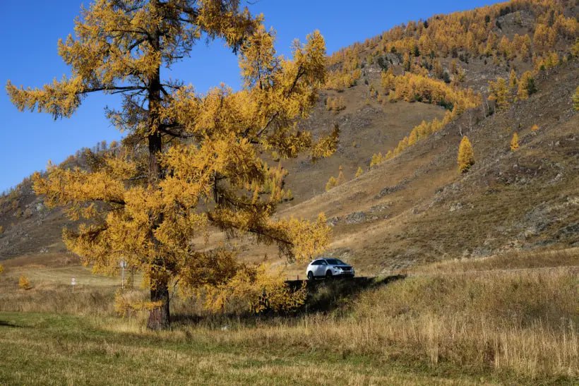 Доля туристических поездок по России весной и осенью в 2025 году впервые составила 25 в общем объеме внутренних бронирований говорится в исследовании Минэкономразвития РФ и Ассоциации туристических агрегаторов Самыми востребованными направлениями в межсезонье стали Москва и Подмосковье Санкт Петербург и Ленинградская область Краснодарский край Татарстан и Калининградская область Фото РИА Новости Александр Кряжев