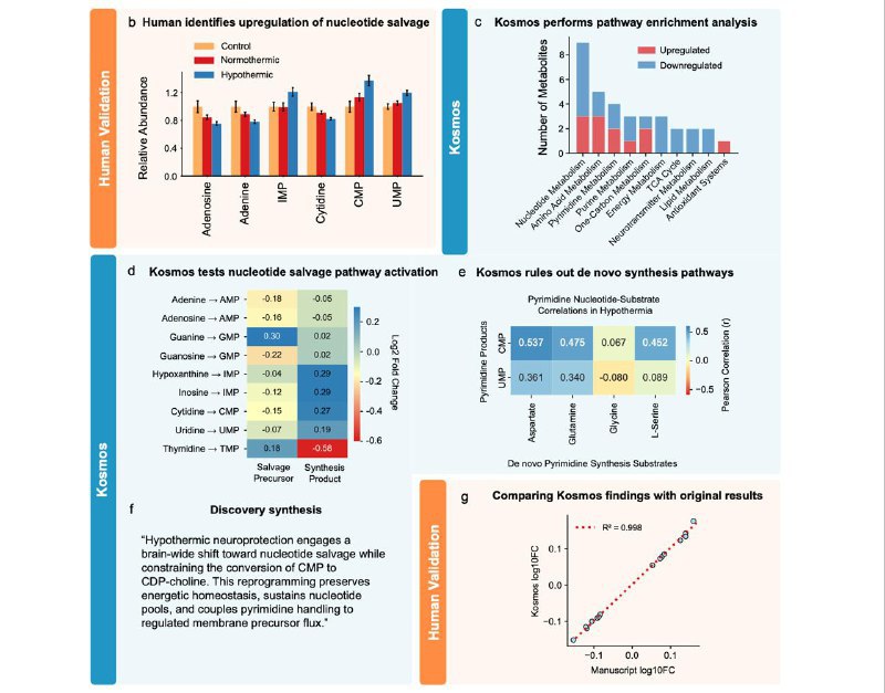 ИИ агент Kosmos сделал 7 научных открытий за 12 часов За одни сутки Kosmos успел проанализировать 1500 статей провести 200 циклов исследований и написать 42 тыс строк кода За это время он сделал 7 открытий 4 новых и 3 известных Человеку на это понадобилось бы полгода Но точность выводов от 57 9 до 85 5 поэтому без помощи человека пока не обойтись t me neurosphera