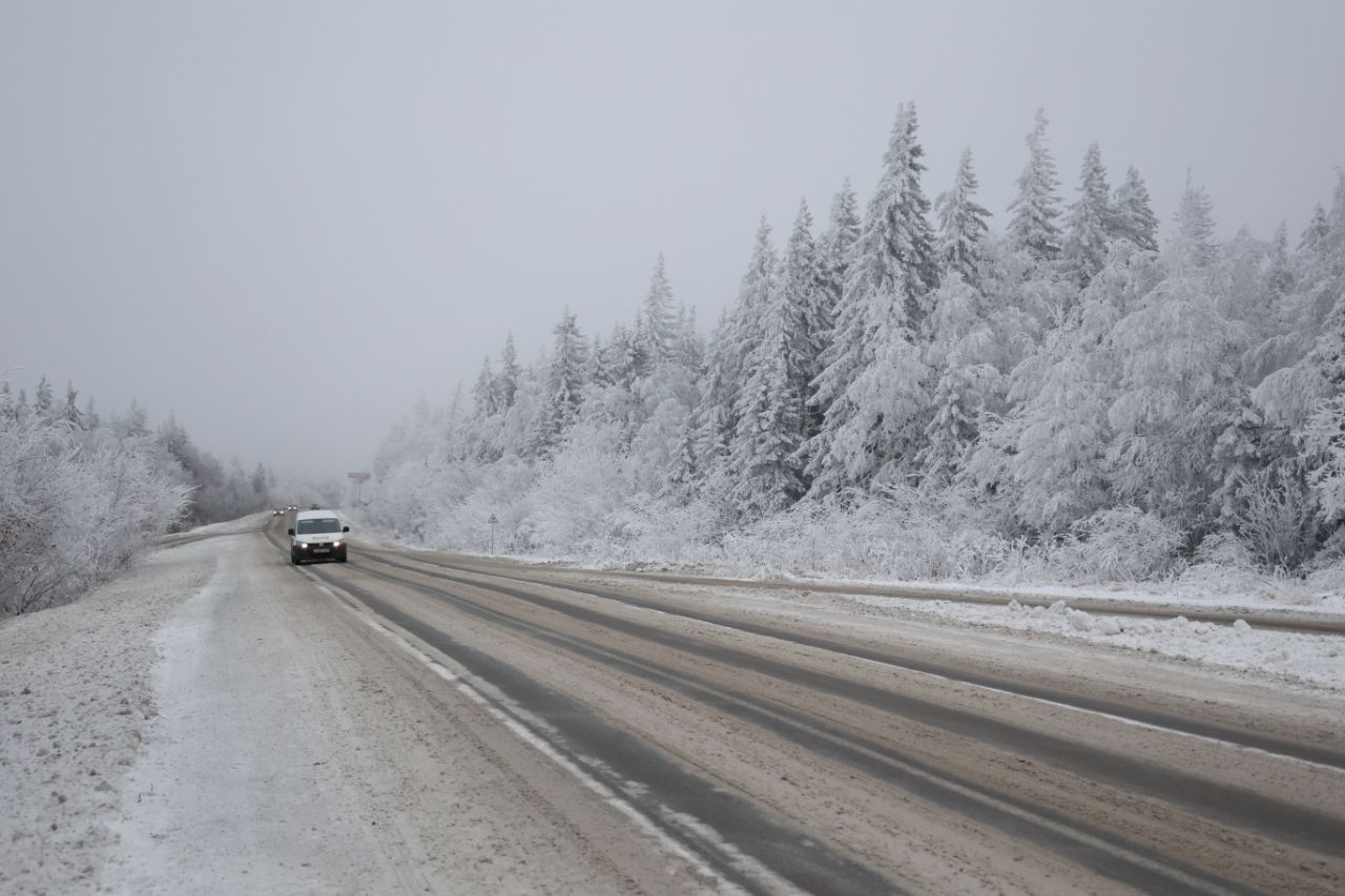В Челябинской области нашли тело девушки пропавшей в начале февраля Поисковый отряд ЛизаАлерт сообщил о завершении поисков 20 летней жительницы поселка Зауральского Еманжелинского округа Ее тело нашли недалеко от лесной дороги По предварительным данным смерть наступила от холода   t me chgub