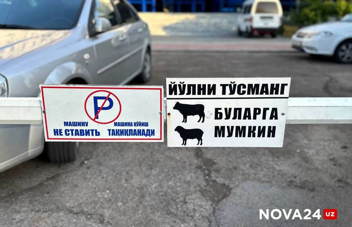 Хаотичная парковка у объектов притяжения остаётся одной из ключевых проблем на дорогах в связи с чем Центр организации дорожного движения запустил пилотный проект по объединению парковок в единую городскую систему управления