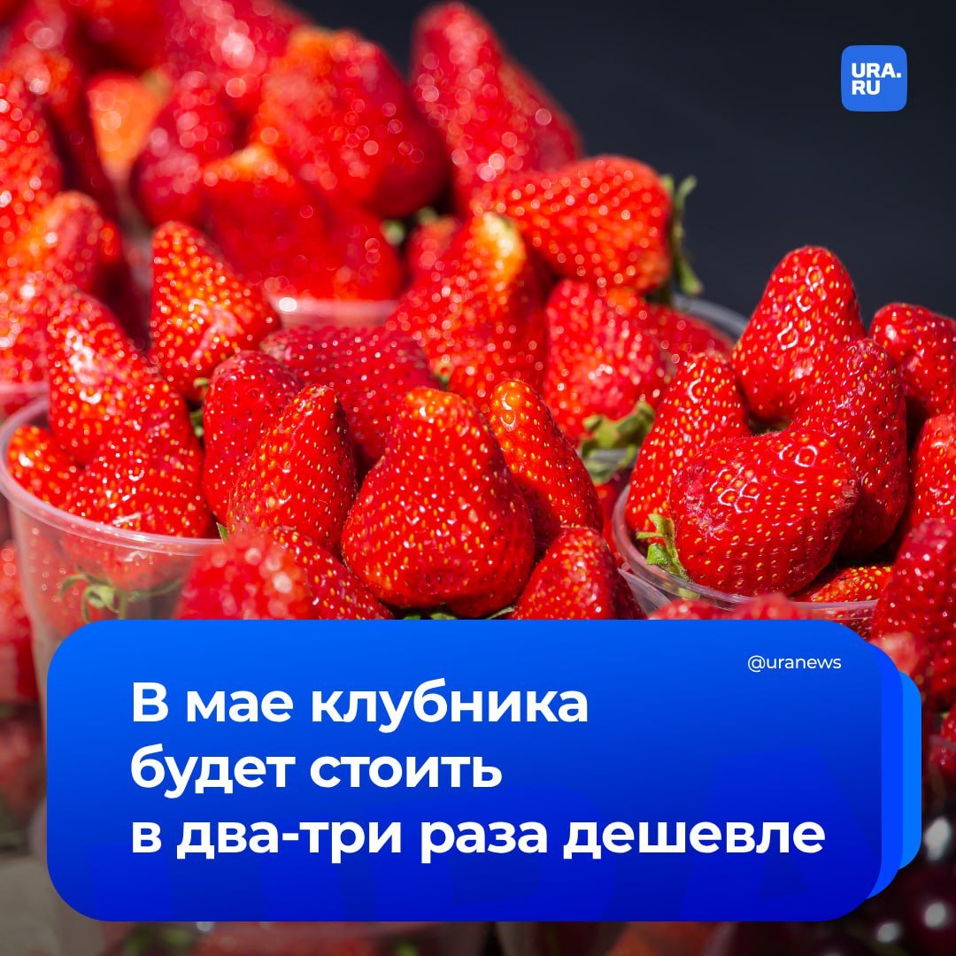Цены на клубнику снизятся в два-три раза в мае. Это произойдет из-за того, что в магазинах появятся ягоды, выращенные в России, рассказал доцент Финансового университета при правительстве Игорь Балынин. Кроме того, из-за серьезного укрепления рубля начнут снижаться цены на зарубежные телефоны, планшеты и телевизоры примерно на 5%. А с учетом акций магазинов — до 10-12%, передало «Прайм». Балынин считает, что из-за введенных США таможенных пошлин, китайские производители перестроят торговые потоки и увеличат присутствие на российском рынке. Это приведет к снижению цен на одежду, бытовую технику, шины и автозапчасти уже в мае.