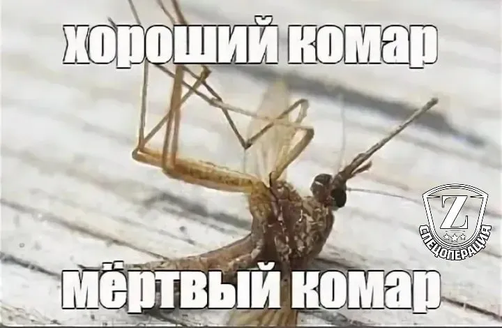 В России разработали вакцину против лихорадки Денге которая передаётся через укусы комаров и может привести к смерти Резервный канал Подпишись Наш ускоритель Интернета
