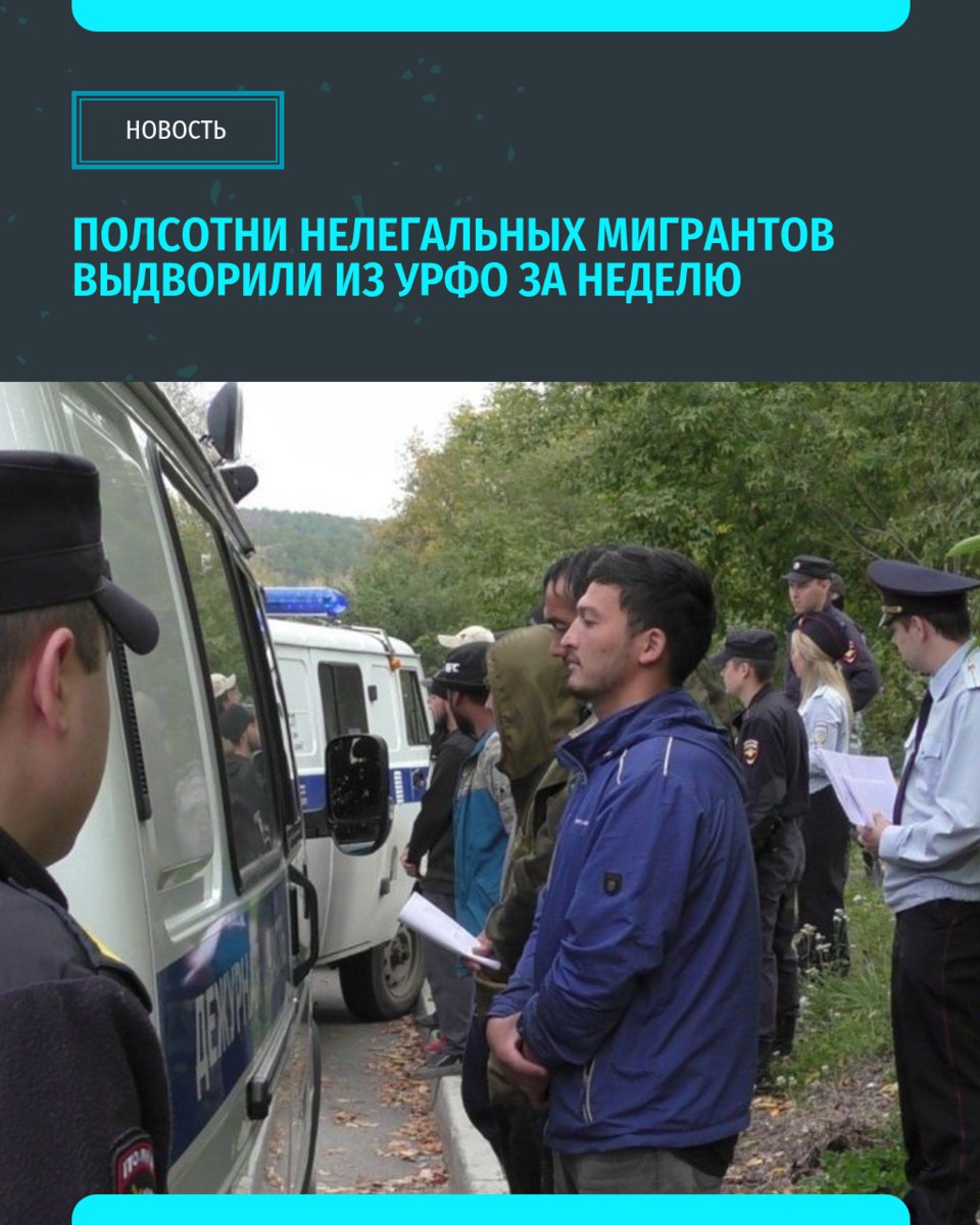 За неделю из Уральского федерального округа выдворили более 50 мигрантов. В регионах проходила оперативно-профилактическая операция «Нелегал-2025».. В целом, сотрудниками транспортной полиции пресечено за это время 100 нарушений в сфере миграционного законодательства РФ. В отношении нарушителей составлено 100 протоколов об административных правонарушениях «Уральский меридиан»