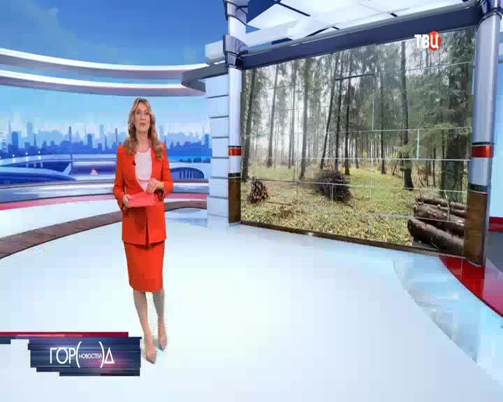 Вырубка деревьев в Татарке и Усть-Каменогорске вызывает общественное беспокойство