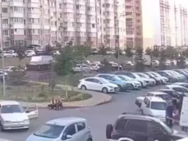 В городе Ростове-на-Дону в микрорайоне Суворовском произошла трагическая гибель молодой женщины. В ночное время 14 июля на улице Андреева, возле дома №8, было обнаружено тело 21-летней жительницы города. По предварительным данным, девушка выпала из окна квартиры, расположенной на 13 этаже. Местные жители вызвали экстренные службы, которые проводят расследование обстоятельств случившегося.
