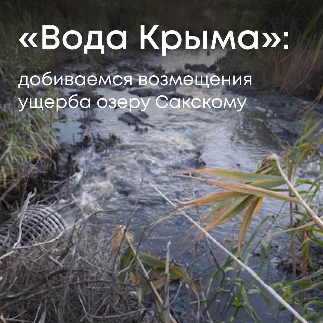 Инспекторы Росприроднадзора совместно с прокуратурой зафиксировали сброс сточных вод в озеро Сакское  Крым  с территории канализационных очистных сооружений города Саки. Объект находится в ведении ГУП РК «Вода Крыма».   Сброс осуществлялся через пластиковую трубу, выведенную в акваторию озера. Лабораторные анализы показали превышение предельно допустимых концентраций загрязняющих веществ.  Экологический ущерб оценен в 1,39 млн рублей. Требование о добровольной компенсации предприятие проигнорировало, в связи с чем Росприроднадзор обратился в Арбитражный суд Республики Крым.