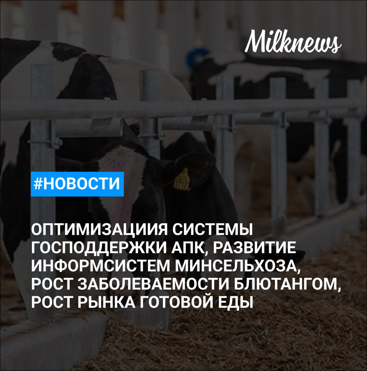 «Ъ»: Минсельхоз готовится к оптимизации системы господдержки АПК Правительство выделило почти 1,2 млрд руб. на развитие информсистем Минсельхоза Порядка 15 сельхозкомпаний Татарстана хотят войти в реестр экспортеров Китая В Европе фиксируют рост заболеваемости блютангом В январе–июне российский рынок готовой еды вырос на 42% год к году