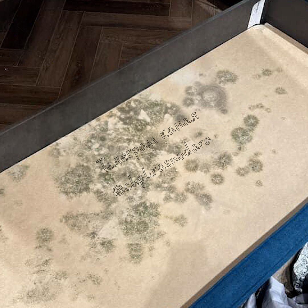 Кровать за 100 тысяч покрылась плесенью за три месяца.   Семья из Краснодара регулярно болела и не могла понять, почему. Загадка раскрылась, когда под матрацом нашли слой плесени. Влажность в доме — нормальная  55% , ничего не проливали.   Хозяйка уверена: кровать изначально была с сырой фанерой. В Askona вину отрицают и деньги возвращать не собираются   ЧП Краснодара и края