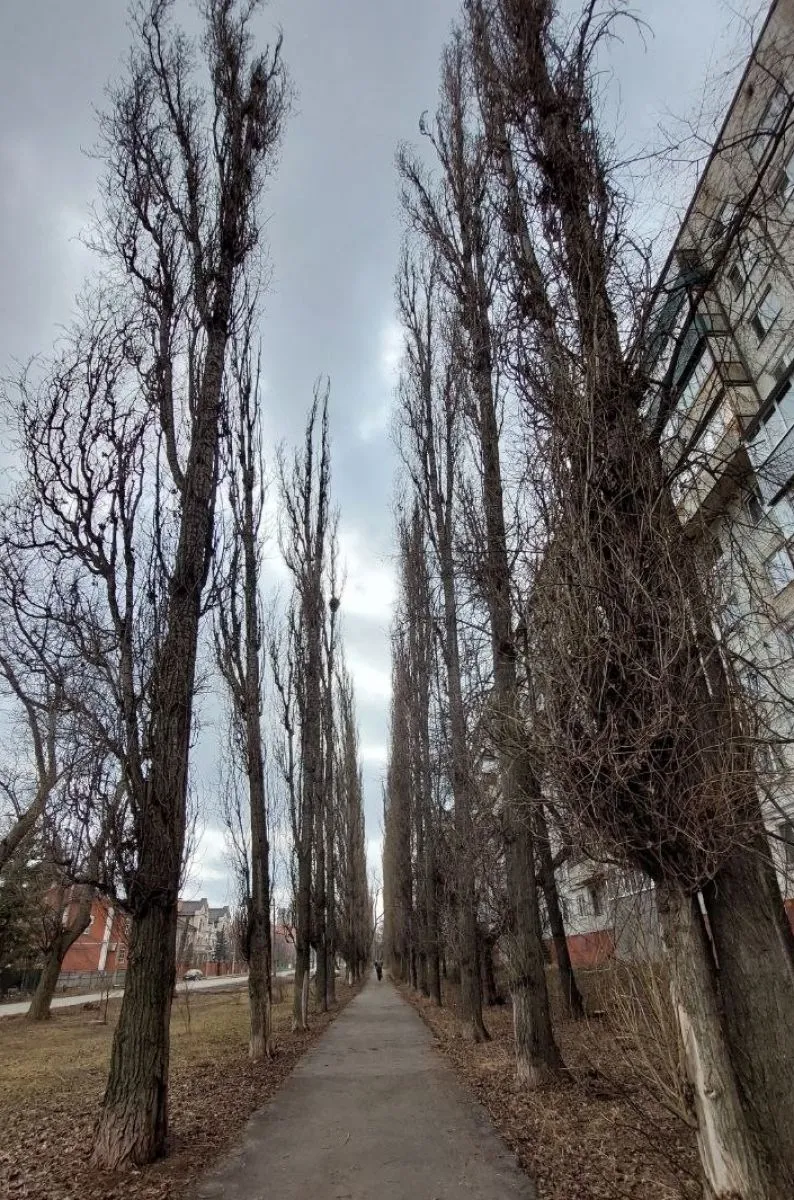 Штормовой ветер и дожди ожидаются в Липецкой области 26 27 апреля   newslipetsk ru fn 1853564 html В Липецкой области объявлено экстренное предупреждение из за сильного ветра Подробности и рекомендации внутри   Прислать новость Подписаться   Читайте нас в MAX