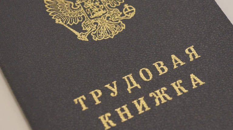 Самозанятым брянцам будут оплачивать больничные   guberniya tv obshhestvo 320969 Эксперимент начнётся с 1 января 2026 года ƃℾ подписаться прислать новость