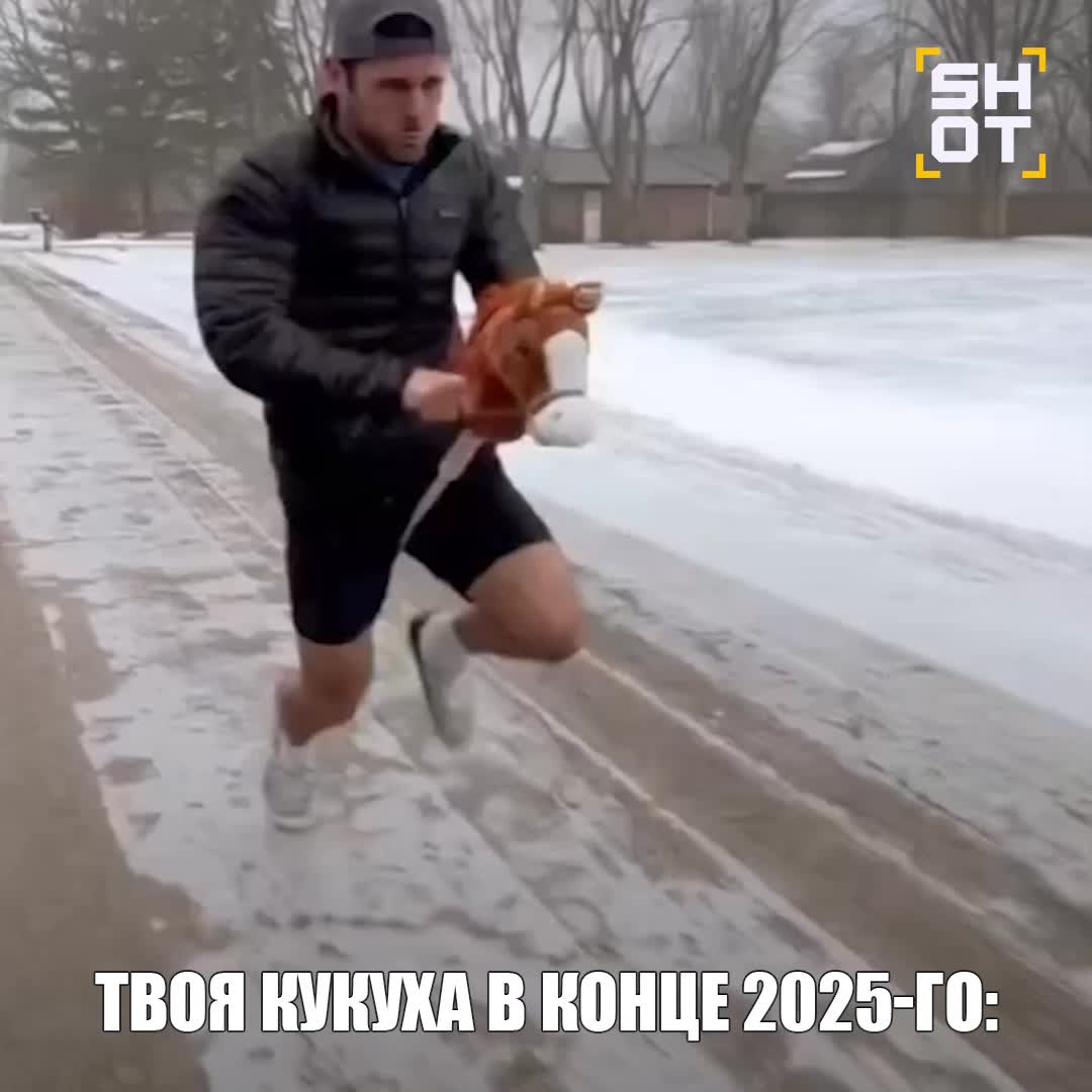 Популярность хоббихорсинга в России возросла перед Новым годом