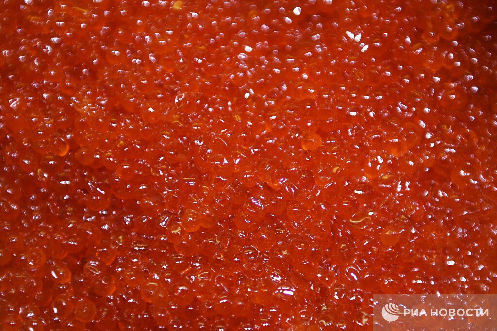 Россиянам хватит красной икры на Новый год заявил вице премьер Дмитрий Патрушев В достаточном количестве Я думаю что не будет здесь проблем ответил он на соответствующий вопрос Подписаться на РИА Новости