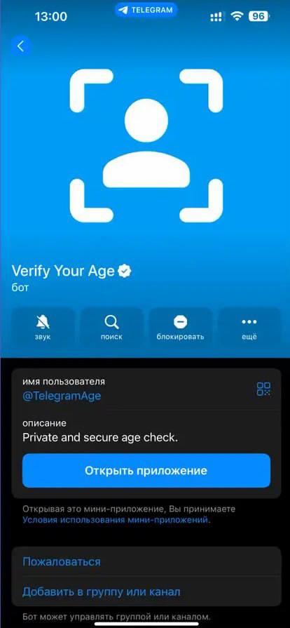 Telegram тестирует официальный бот проверки возраста. После верификации возраста можно будет включить показ материалов для взрослых. По умолчанию такая функция будет отключена. Анонимно порно больше никто не посмотрит.