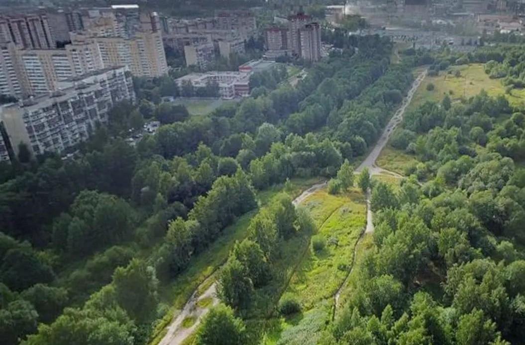 Бывшую свалку в Яблоновском саду планируют рекультивировать за 25 месяцев Рекультивацию бывшей свалки на территории Яблоновского сада планируют провести за 25 месяцев.