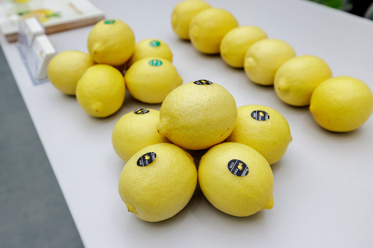 Лимоны стали дорогим удовольствием в России Теперь при виде этих цитрусовых лицо само собой складывается в кислую мину и дело не во вкусе а в ценнике Всего за год килограмм лимонов подорожал до 229 рублей на 44 оставив позади цены прошлого ноября следует из данных NTech Во всем виноваты проблемы с поставками из Турции и дорогая логистика   Подпишитесь на Абзац TG VK Дзен MAX Rutube