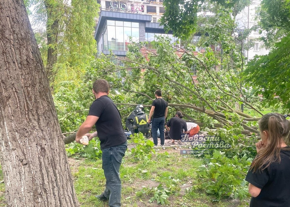В центре Ростова на женщину упало огромное дерево Инцидент произошёл 19 июня на улице Пушкинской, в районе дома № 139. По словам очевидцев, из-за сильного ветра одно из деревьев опасно накренилось, а затем обломилось. В момент падения под деревом находилась женщина. Она не успела увернуться, и ствол обрушился прямо на неё. Пострадавшая упала и не смогла подняться самостоятельно. На помощь пришли прохожие — мужчины вручную разобрали завалы веток и обнаружили женщину под обломками. На место оперативно прибыла скорая помощь. О состоянии пострадавшей информации нет Подписаться на "Новости Ростова" Прислать новость