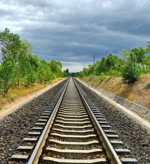 В Ростове пассажирский поезд насмерть сбил 31-летнего мужчину.  Пешеход пренебрег правилами безопасности при прохождении на железной дороге.  Трагедия произошла на остановочной площадке «Рабочий городок». Вечером мужчина переходил ж/д пути, в этот момент ехал состав. Машинист не успел затормозить, и пешеход попал под поезд. От полученных травм он скончался на месте.