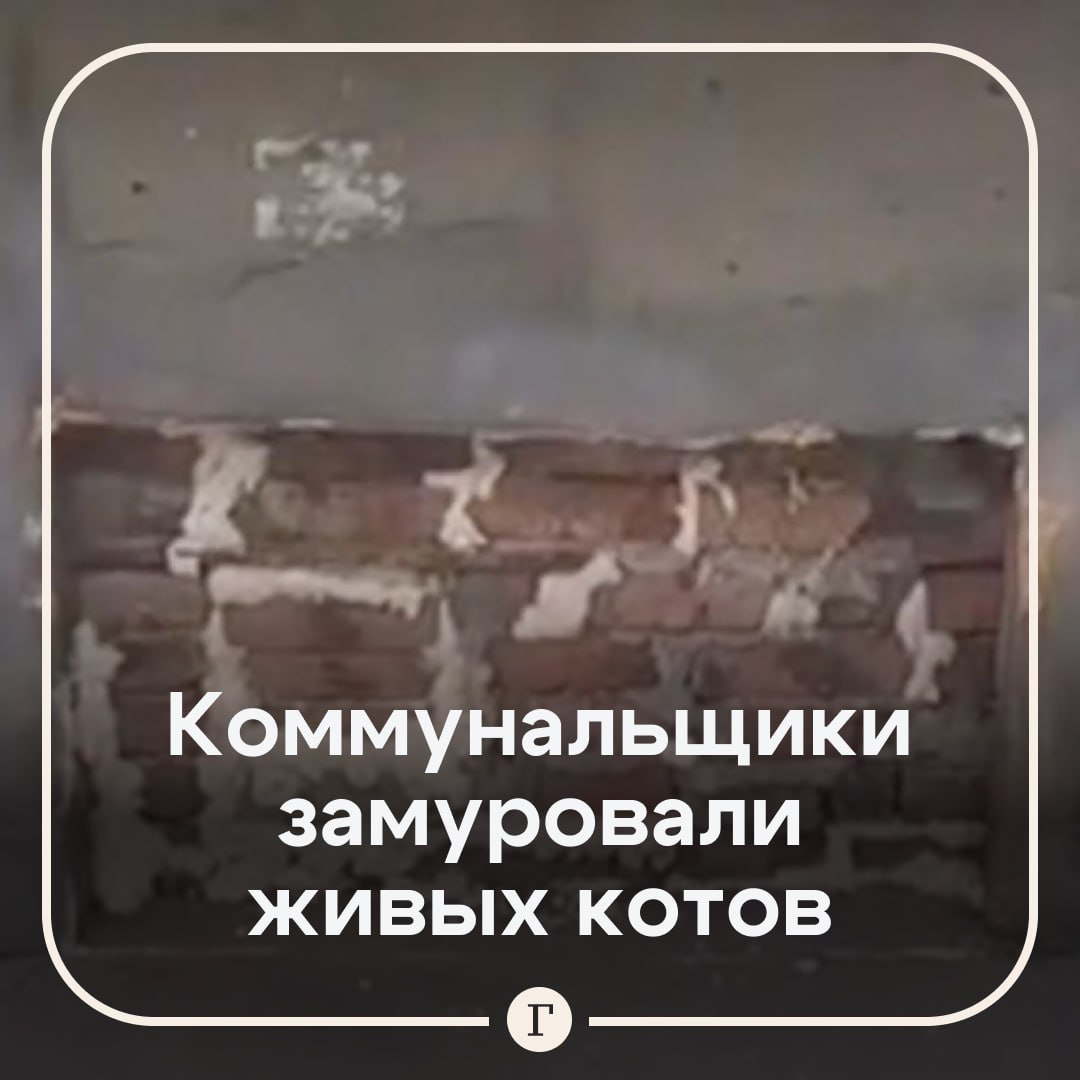 Коммунальщики замуровали живых котов в подвале. В начале майских праздников сотрудники управляющей компании одного из многоквартирных домов Новосибирска заложили доступ в подвал кирпичом. Они сделали это несмотря на просьбы жильцов не оставлять без выхода находившихся там животных. Коты оказались замурованы. Животные оставались взаперти в течение нескольких дней, пока жители дома не обратились в экстренные службы. По данным местных СМИ, котов освободили. — Как так можно с беззащитными животными!