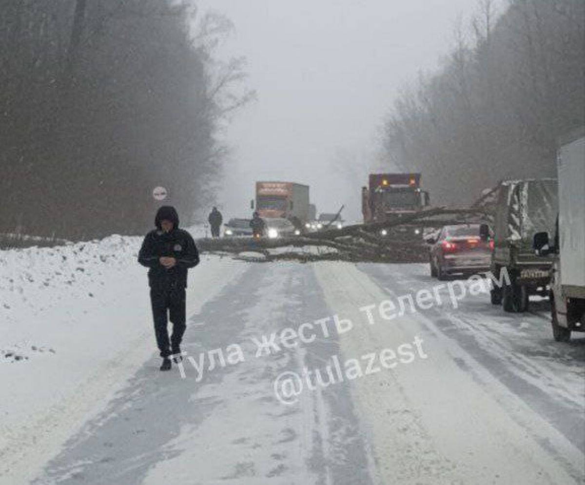 В Тульской области движение транспортных средств осложнили упавшее дерево и вставший поперек дороги автобус newstula ru fn 1803620 html Дерево и занесённый автобус перегородили дорогу между Кострово и Новым Клеймёново На том участке пути образовался затор как сообщают очевидцы Прислать новость Подписаться Мы в MAX