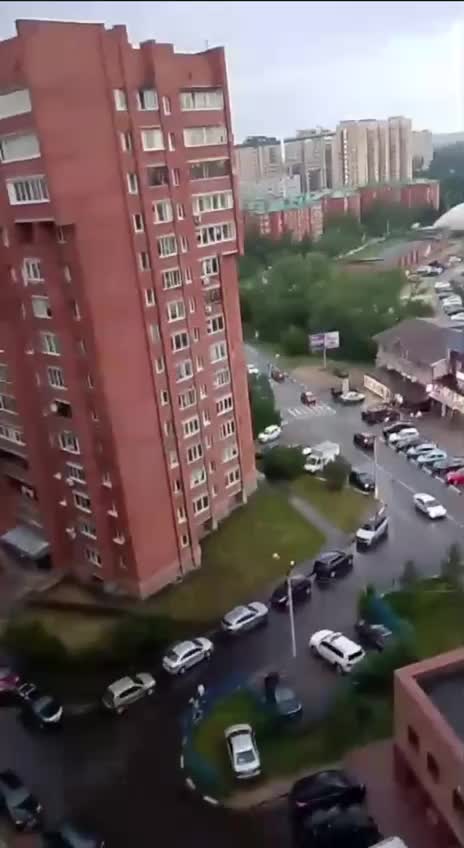 Жительница Дмитрова разводит кур в квартире для свежих яиц