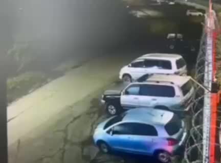 Житель Петропавловска Камчатского использует автомобиль для побега от медведя