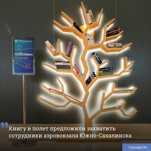 В аэровокзале Южно-Сахалинска открыли новый стеллаж для обмена книгами. Читательский уголок разместили на втором этаже терминала справа от зоны паспортного контроля, чтобы доступ к литературе был открыт как для пассажиров, так и для провожающих.