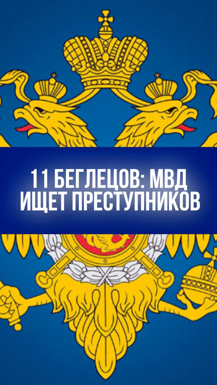 Кто эти 11 беглецов? МВД РФ обнародовало шокирующий список разыскиваемых преступников МВД России разыскивает 11 опасных преступников, включая командиров украинского батальона "Азов" и серийного убийцу Валерия Андреева. В списке также "монах-разбойник", лидер банды киллеров и террорист, устроивший взрыв. За каждого объявлено вознаграждение в миллион рублей.