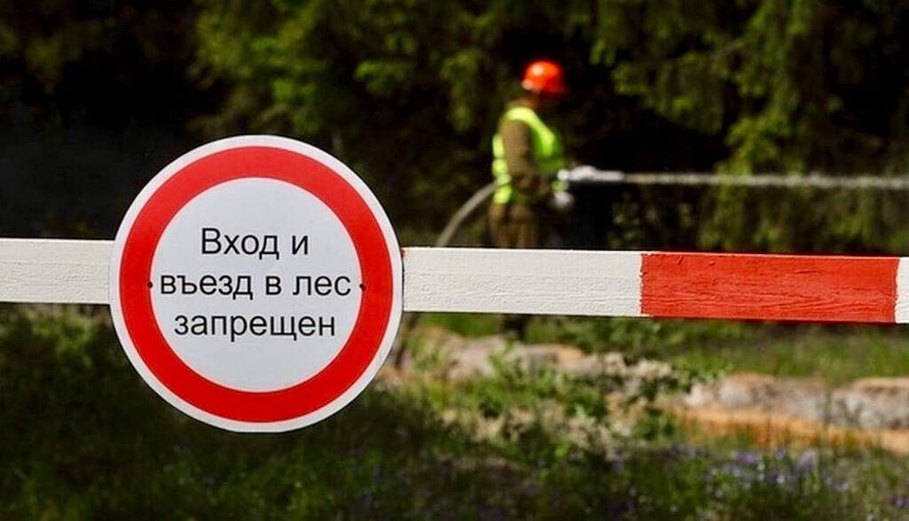 Доступ в леса ограничат в Приангарье с 20 июня по 2 июля. Ограничения будут действовать для территорий с высоким классом пожарной опасности. — Ранее такое ограничение действовало с 5 по 17 июня. Как показала практика, пожаров, особенно по вине человека, стало меньше. Чтобы сохранить положительную тенденцию, продлили ограничения. Решение вынужденное, но обоснованное, — сообщил губернатор Игорь Кобзев. В этом году зарегистрировано 345 возгораний, их общая площадь — 12,5 тысячи га. В прошлом году за этот период было зафиксировано 462 пожара на площади 80,7 тысячи га. Сообщите о нарушении или о лесном пожаре: 8-800-100-94-00 — Федеральная диспетчерская служба лесной охраны 8 3952 22-99-68 — региональная диспетчерская служба «Верблюд в огне»