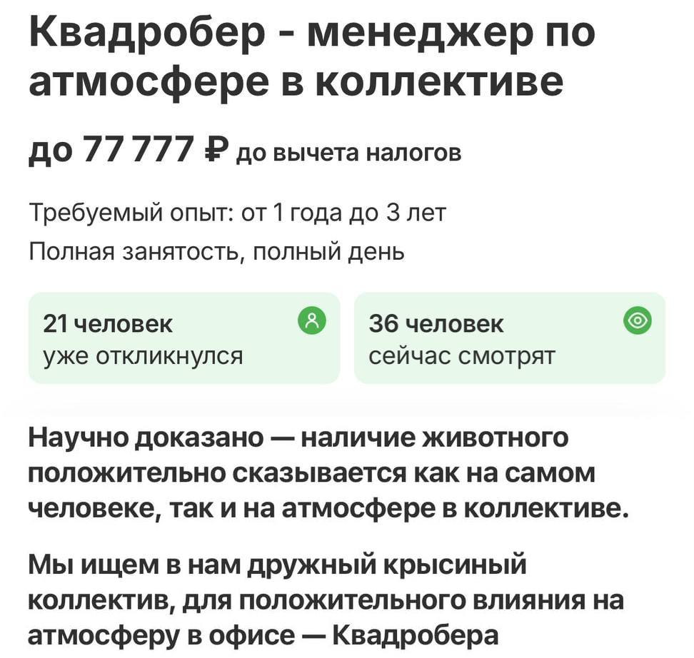 В Москве ищут квадробера для работы в офисе. Новый сотрудник должен создать дружественную атмосферу в коллективе. Основное требование - быть настоящим квадробером, а не представителем фурри.  Зарплата предлагается высокая - 77777 рублей. Работодатель отмечает, что новому сотруднику не потребуется обучение, так как другие работники "сами ничего не умеют". А место для работы предстоит выиграть в битве с предыдущим питомцем.